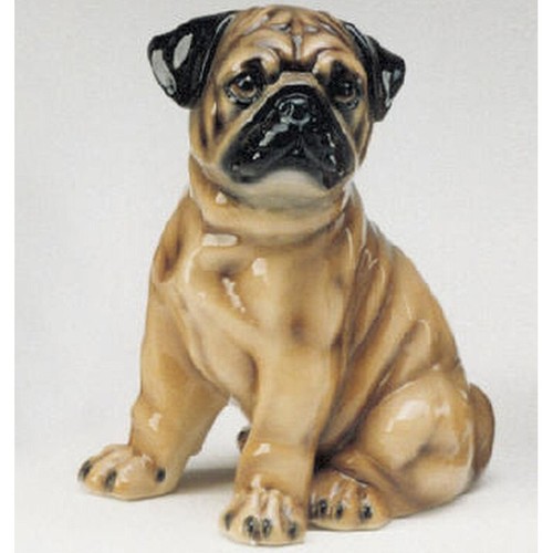 Statua cane carlino in - carlino,