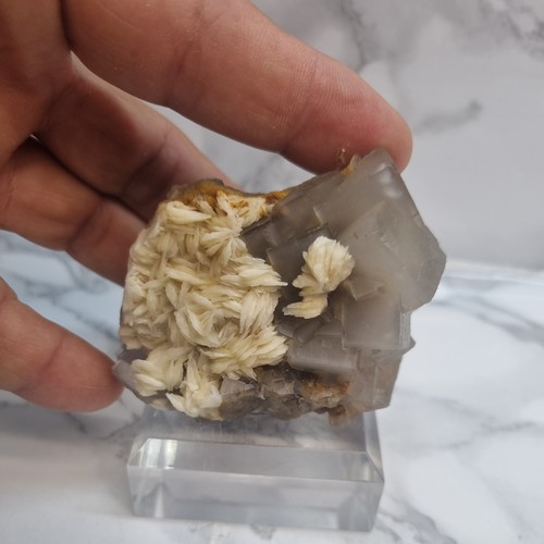 Minerali fluorite con barite - minerali◇fluorite,