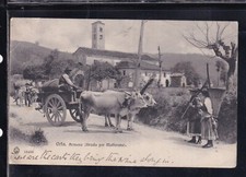 Cartolina Orta Armeno Strada per Mottarone CARRO BUOI ANIMATA AC873