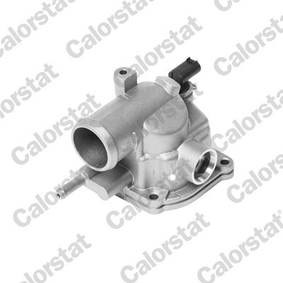 Calorstat vernet - 1x,