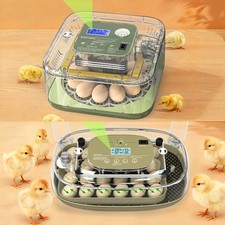 Incubatrice incubatrice