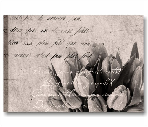 Tulipani vintage quadro - -,