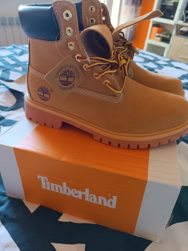Timberland uomo - timberland,