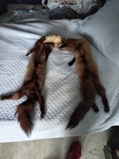 Collo in Pelliccia doppia di Volpe vera