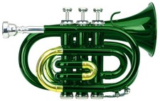 Tromba Strumento Fiato Ottone Tuba 3 Valvolas Bocchino Custodia Panno verde Set