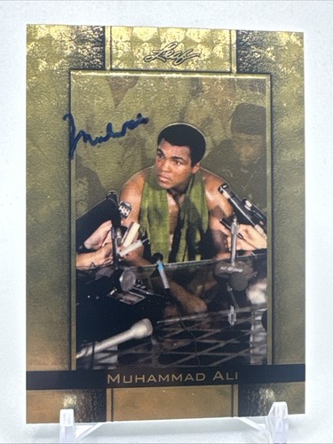 Muhammad ali 2010 foglia - ali,