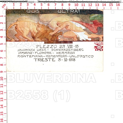 B2558 militare bersaglieri - 11,