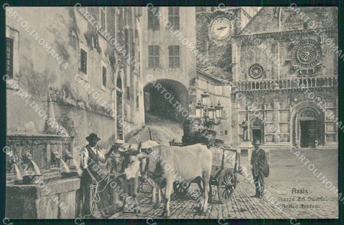 Perugia assisi carro buoi - perugia,