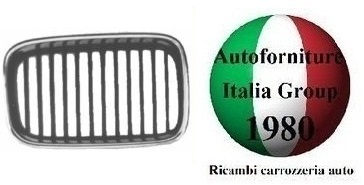 Griglia radiatore anteriore - radiatore,