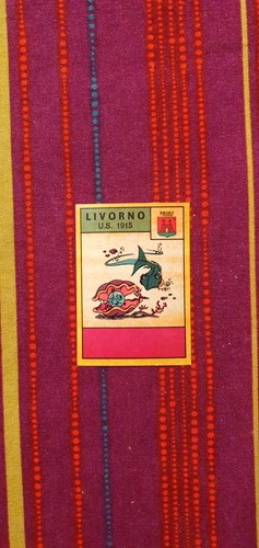 Scudetto livorno album - scudetto,