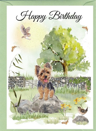 Biglietto compleanno - di,