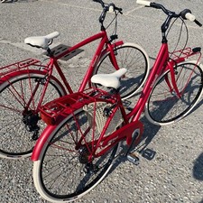 Coppia biciclette city bike - coppia,