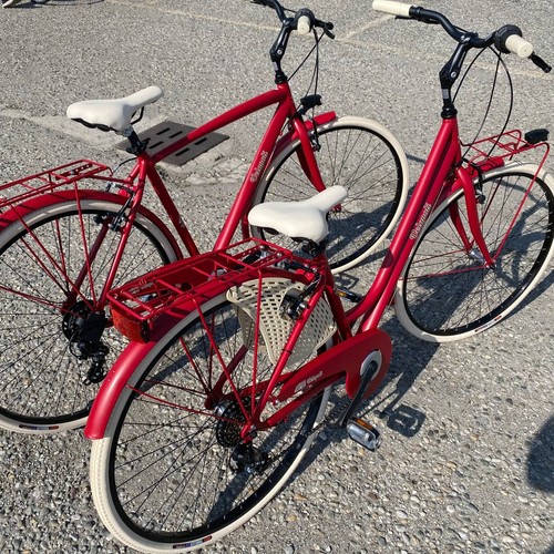 Coppia biciclette city bike - coppia,