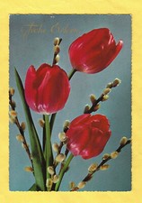 Buona Pasqua Fiohe Ostern