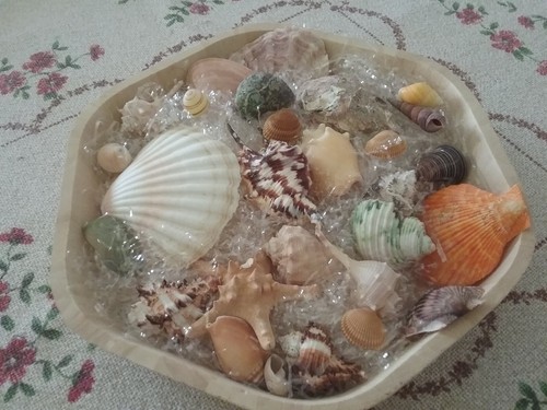 Cesto composizione conchiglie - cesto,