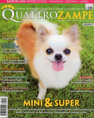Quattrozampe 2018 125 mini - quattrozampe,