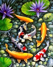 Koi Carp Original Acrylic