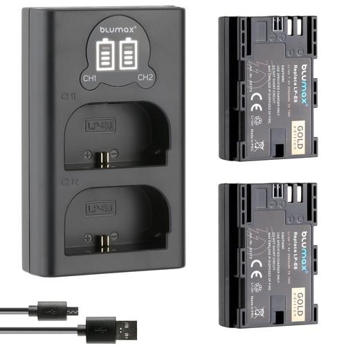 Batteria caricatore lcd - 2x,
