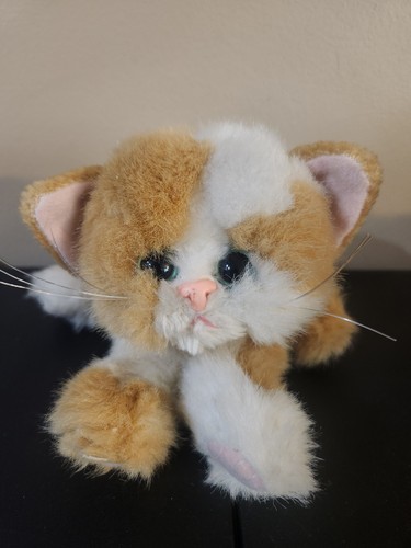 Peluche tyco kitty - peluche,