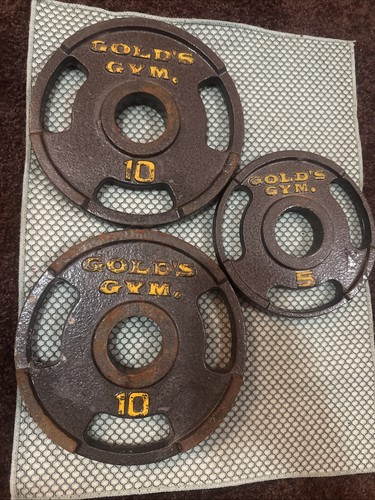 Gold gym coppia - gym, di
