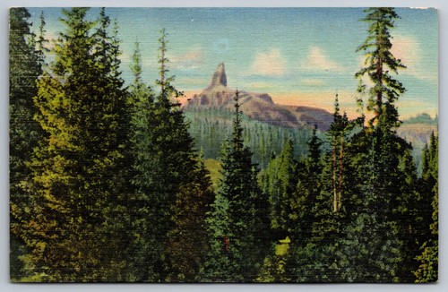 Cartolina testa lucertola - testa, di