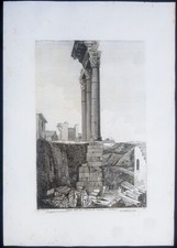 Stampa antica colonne castore - stampa,
