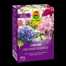 Concime per piante acidofile a