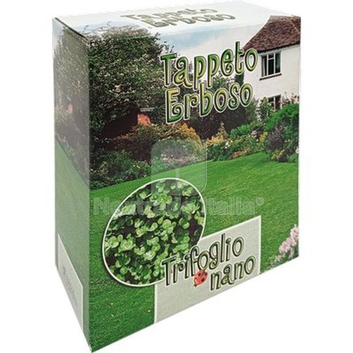 2pz seme prato trifoglio - 2pz,