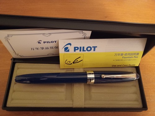 Stilografica pilot custom - stilografica,