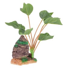 Pianta per acquario casa