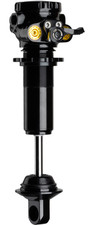 Ammortizzatore Db Coil Cane