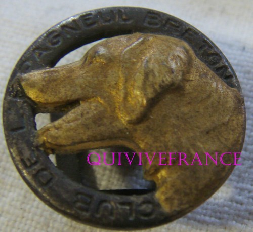 Bg11557 breton spaniel club - bg11557,