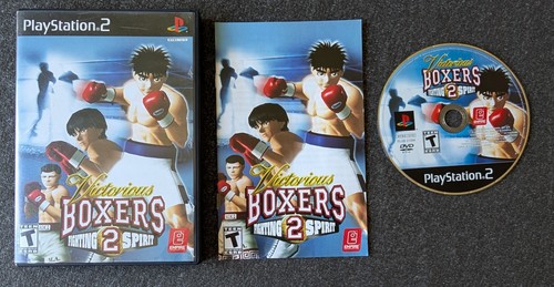 Victorious boxers fighting - boxers,