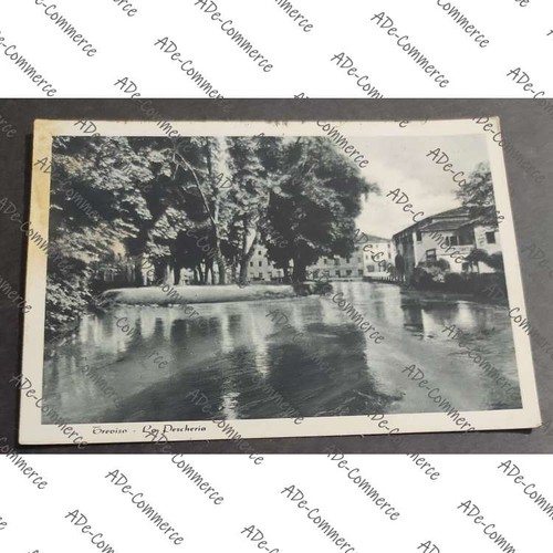 Cartolina treviso la - cartolina,