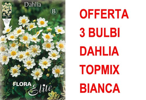 Offerta bulbi dahlia topmix - bulbi,