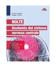 Nolte - Anatomia del sistema