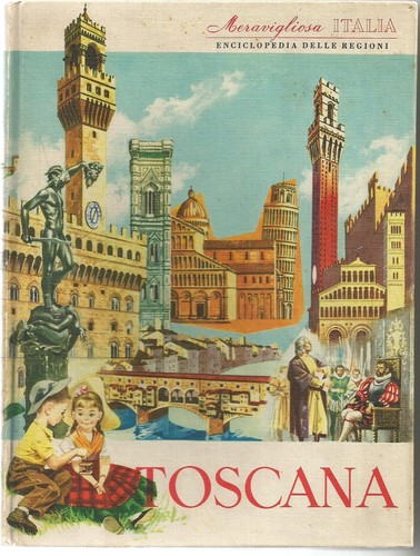 Libro meravigliosa italia - libro,