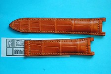 Vero Louisiana Coccodrillo