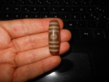 n. 123 - Pelle di tigre -