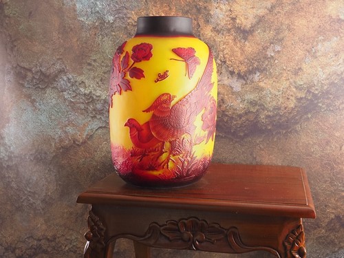 Limitata vaso - limitata, –