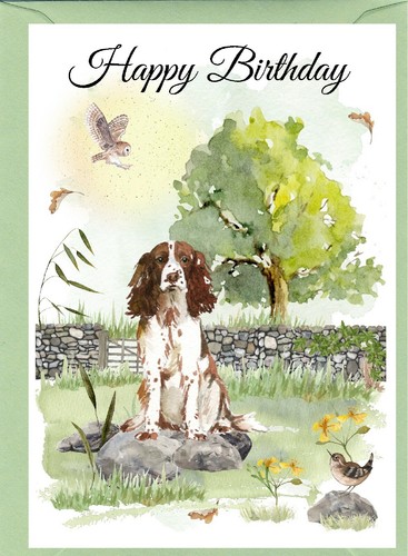 Biglietto compleanno springer - compleanno,