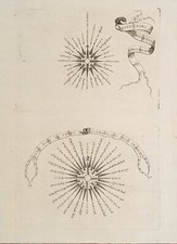 ANONIMO ROSA DEI VENTI