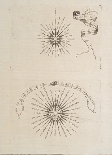 Anonimo rosa dei venti - anonimo,