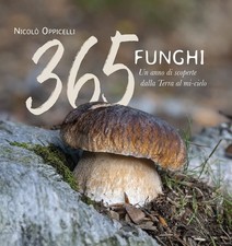 Libri Nicolo Oppicelli - 365