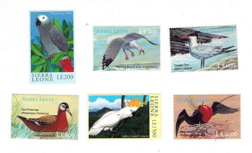 Sierra leone 2000 - 2000, uccellini