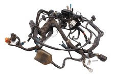 Fascio Cavi Elettrici Completo