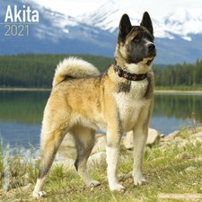 Calendrier 2021 - AKITA
