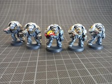 Terminators Space Hulk Space