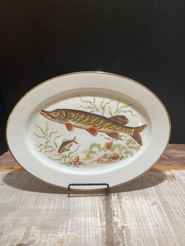 Raro piatto pesce muschiato