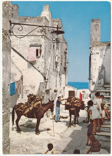 Gargano pittoresco rodi - gargano,